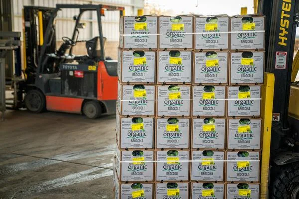 Traduction des Fiches Techniques : Étude de cas dans l’industrie alimentaire