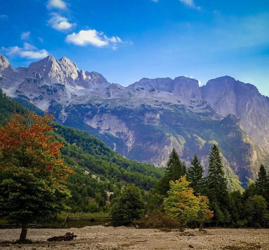 Traduction et localisation de sites web en albanais