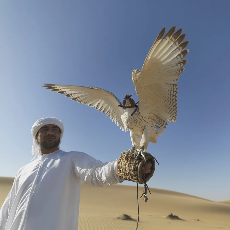 Services de traduction en sous-titrage arabe