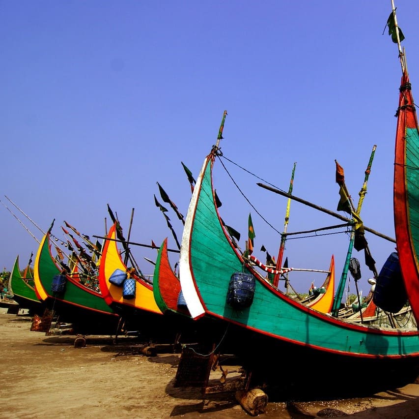 Nos traducteurs bengalis