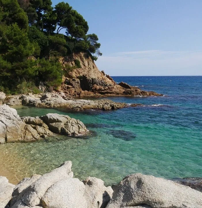Services de localisation de logiciels et de sites web en catalan