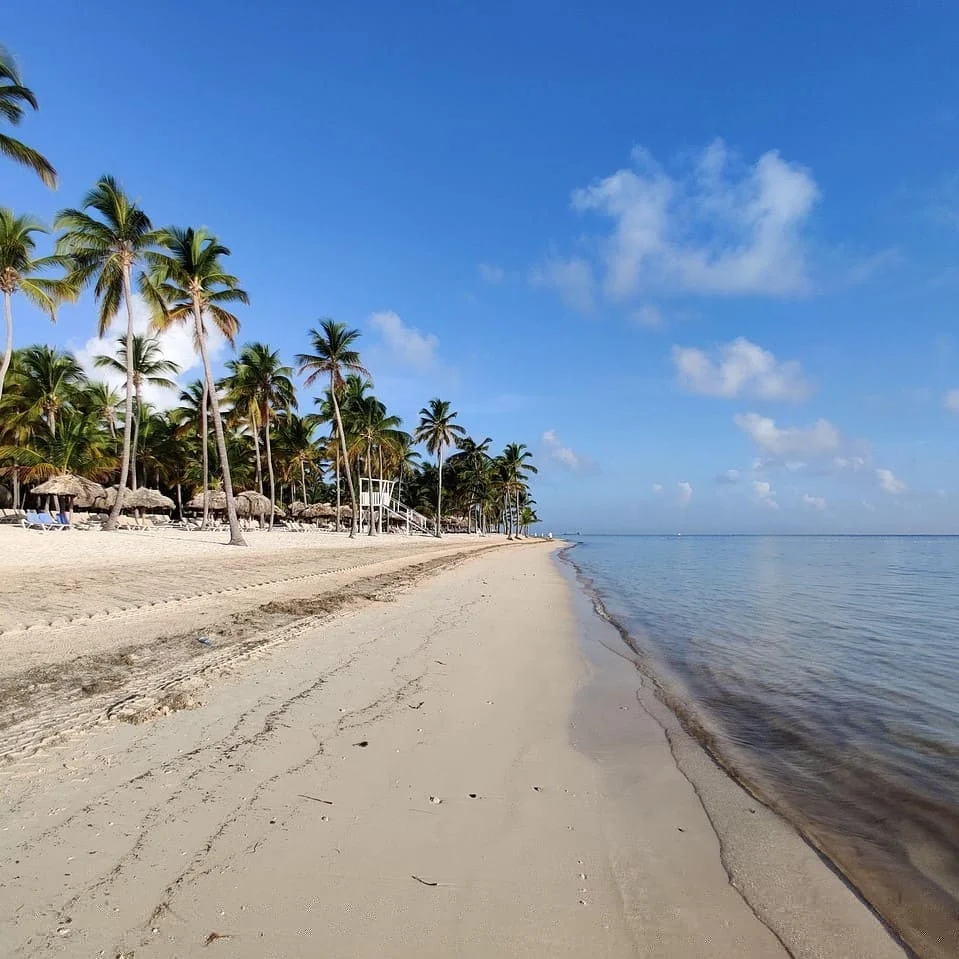 Origine et principales caractéristiques de la langue créole haïtienne