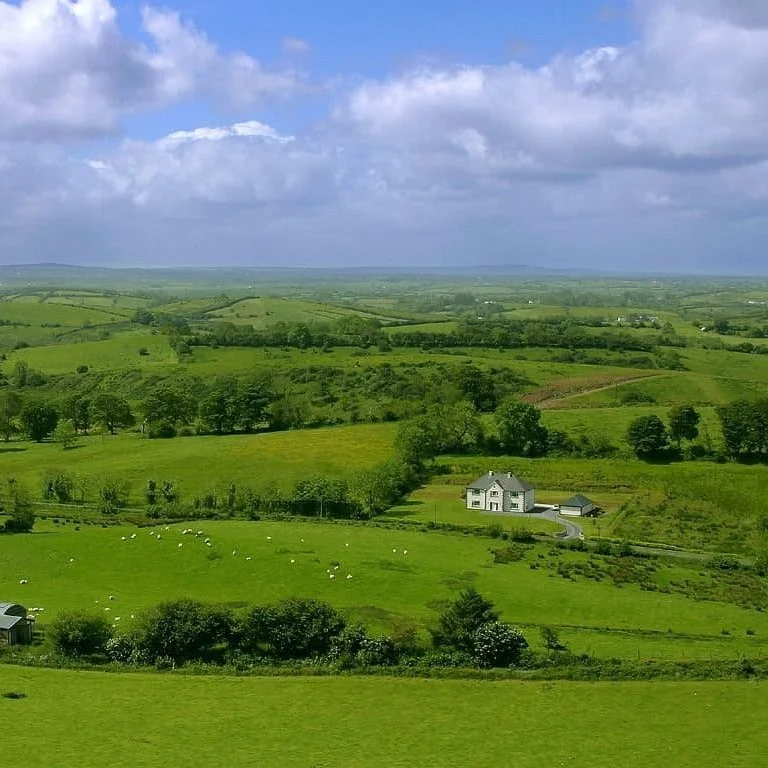 Traductions juridiques en irlandais de PoliLingua