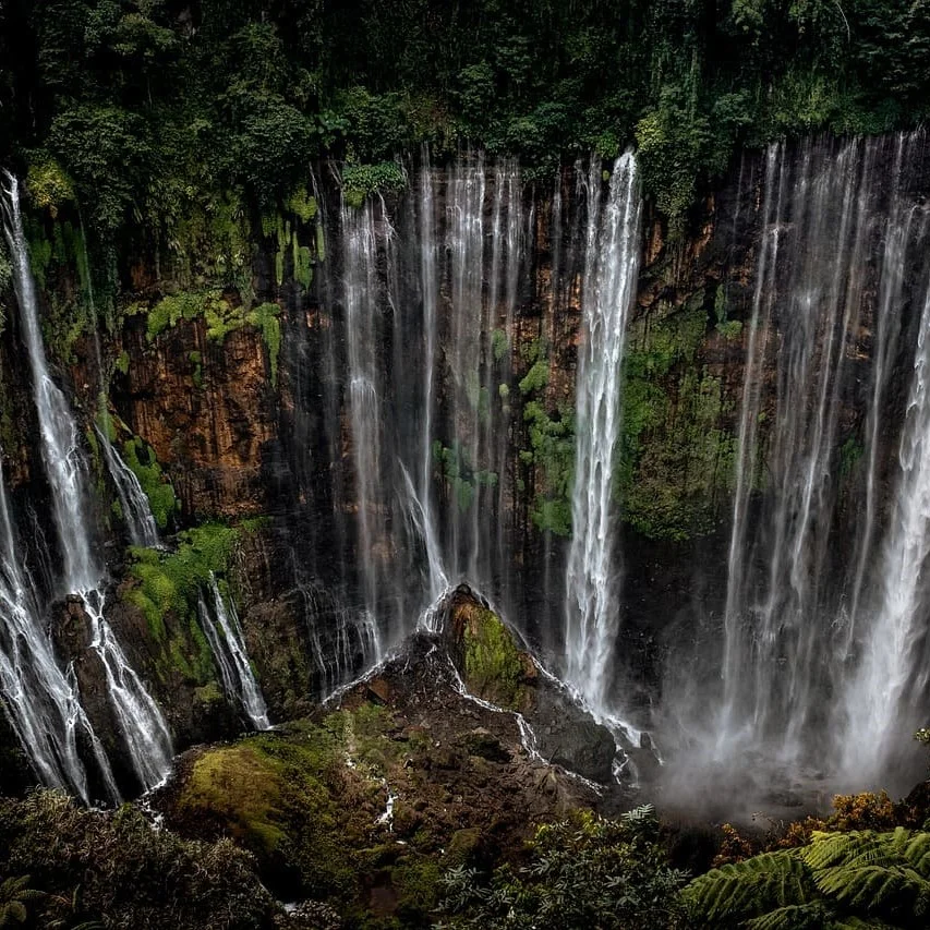 Services de localisation de logiciels et de jeux en javanais