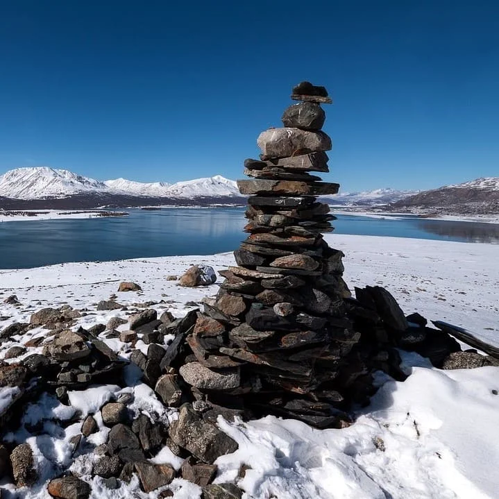 Services de traduction en mongol