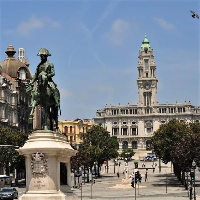 Services professionnels de traduction en portugais