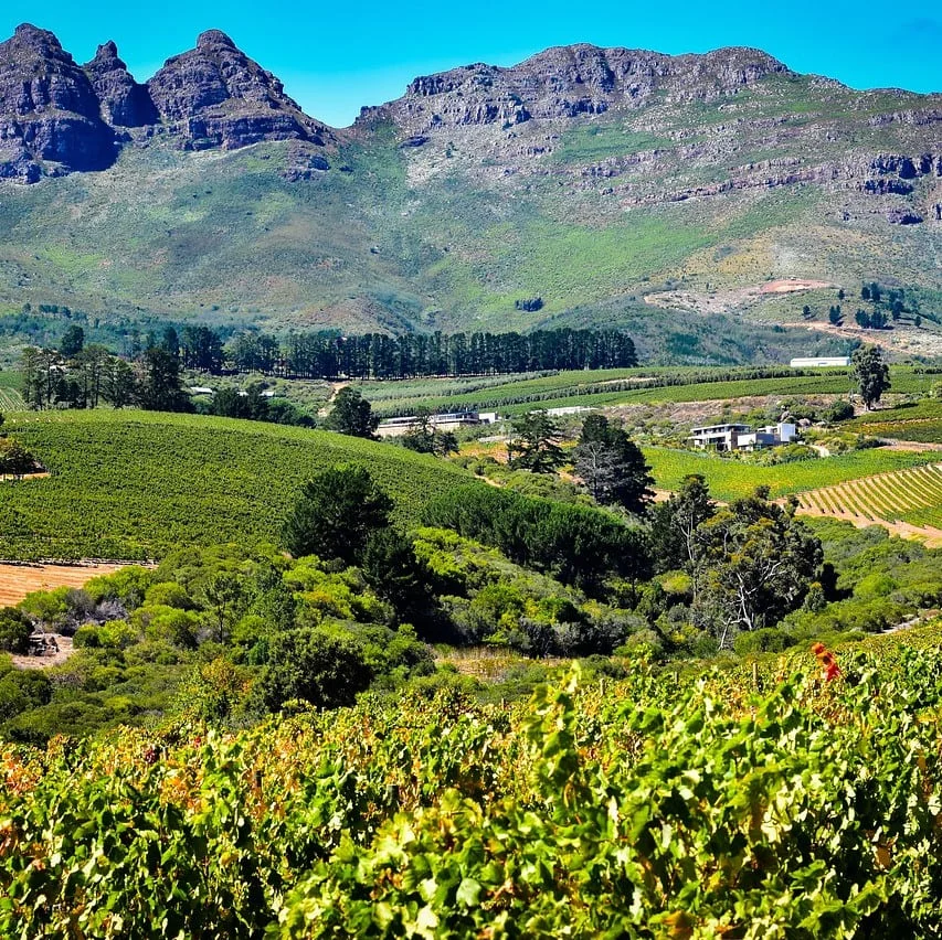 Aperçu de la langue sesotho
