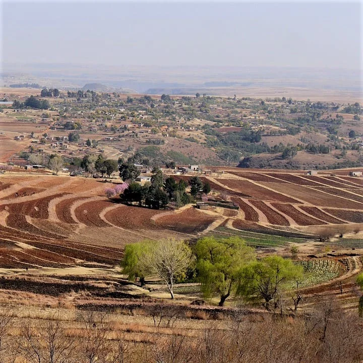 Étapes pour obtenir nos traductions professionnelles en sesotho