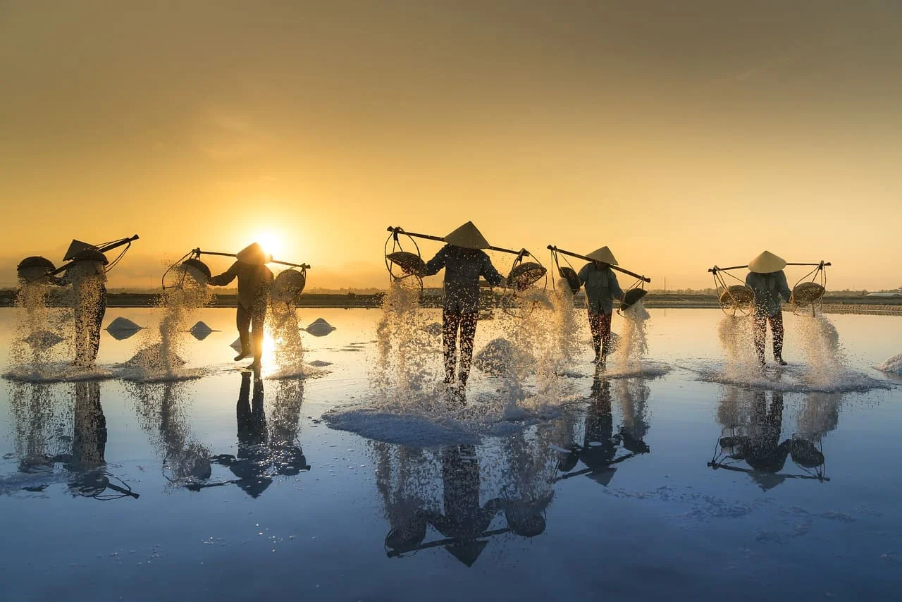 Services de traduction certifiée en vietnamien