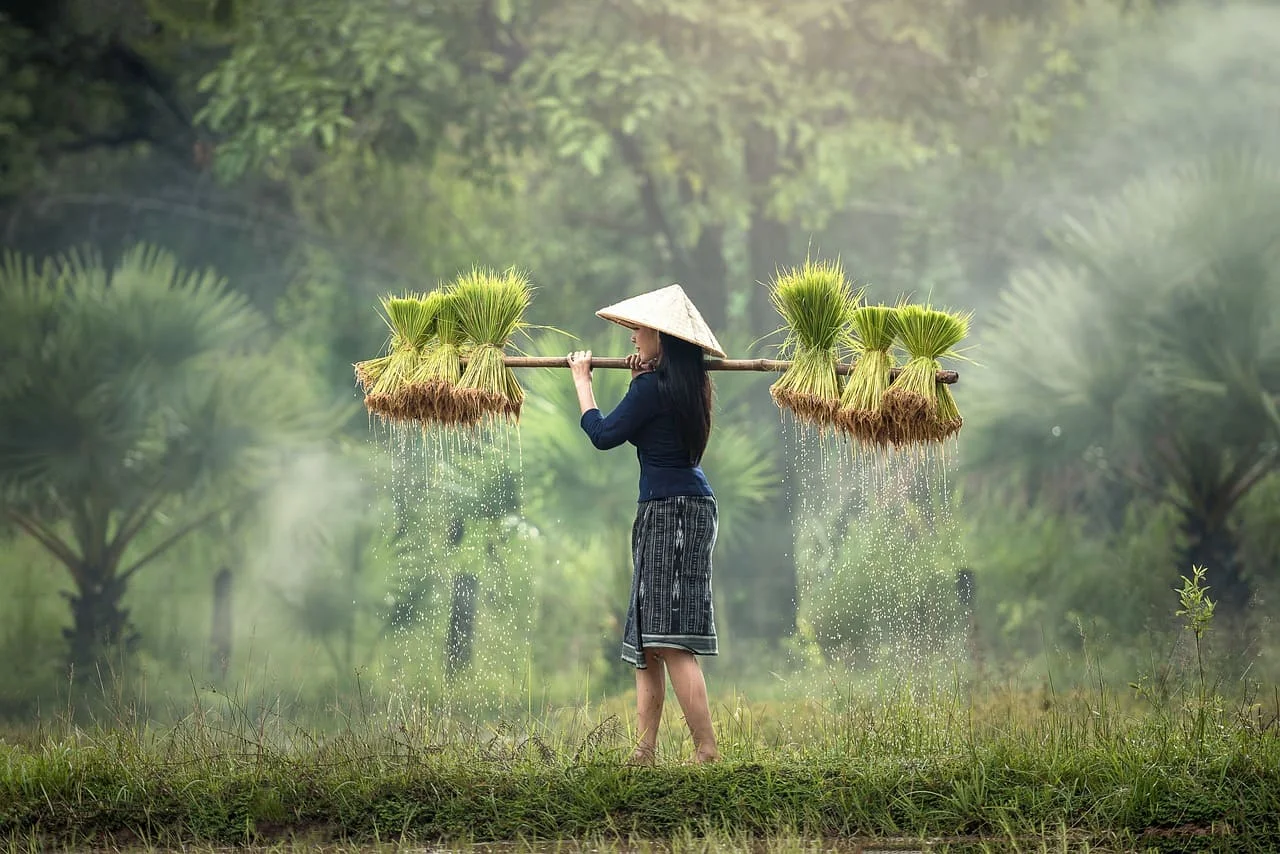 Demandez un devis pour vos traductions en vietnamien