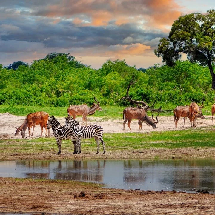 Traductions xhosa de PoliLingua