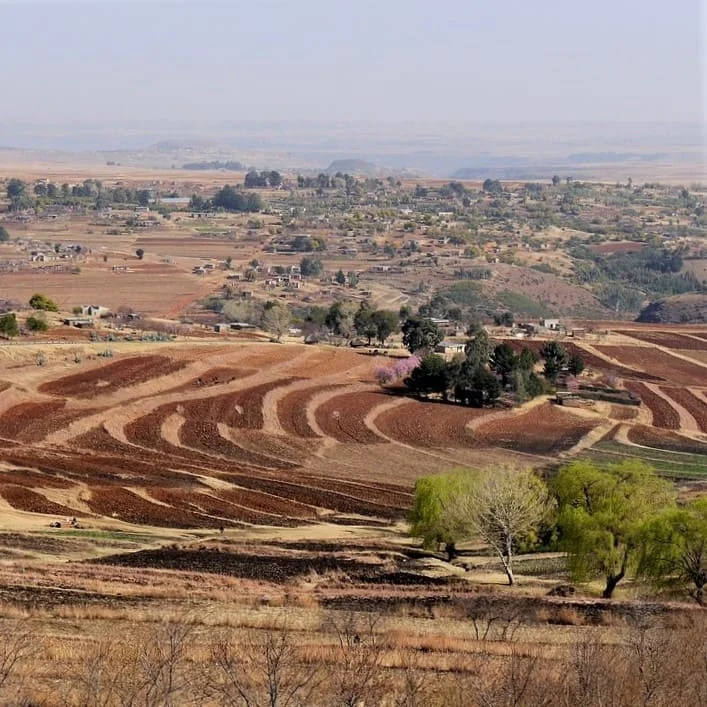 Aperçu de la langue zoulou
