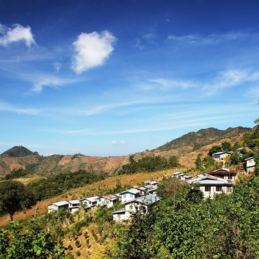 Services de traduction Rohingya