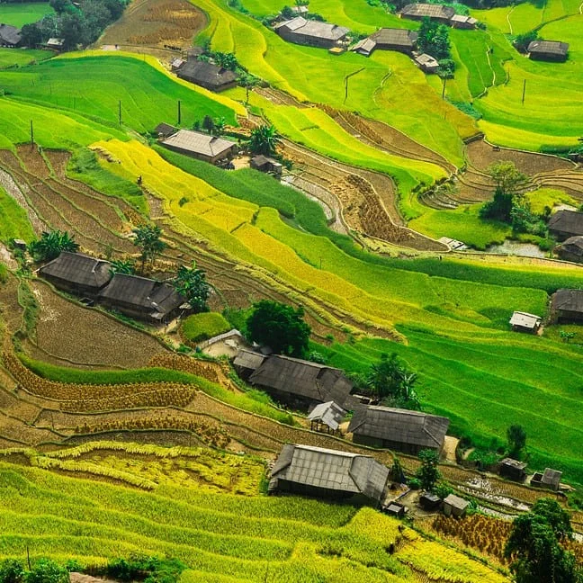 Traductions Certifiées en Langue Rohingya