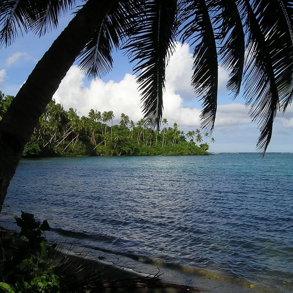 Services de Traduction en Samoan