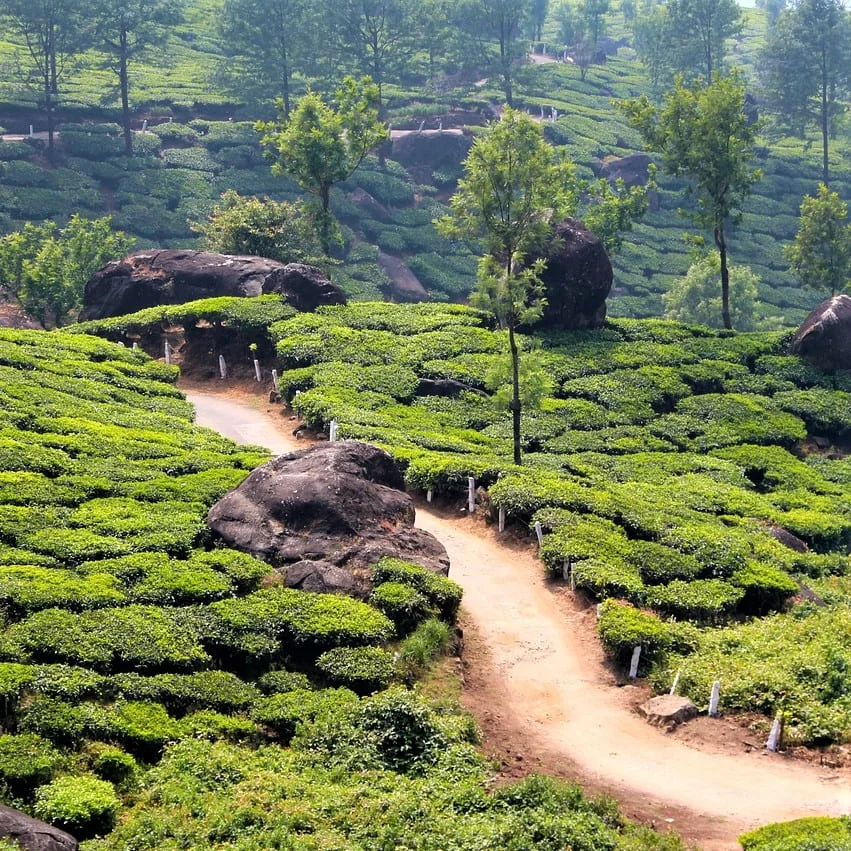 Traductions Juridiques en Bhojpuri par PoliLingua