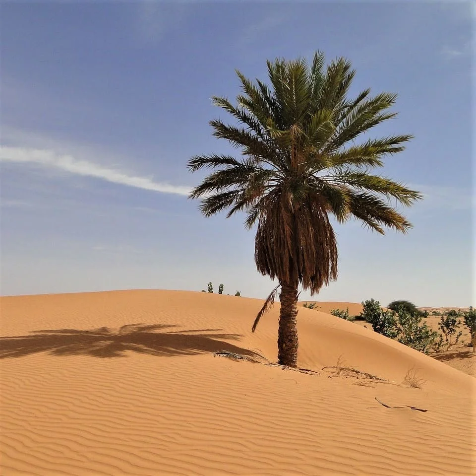 Documents d'Entreprise Wolof