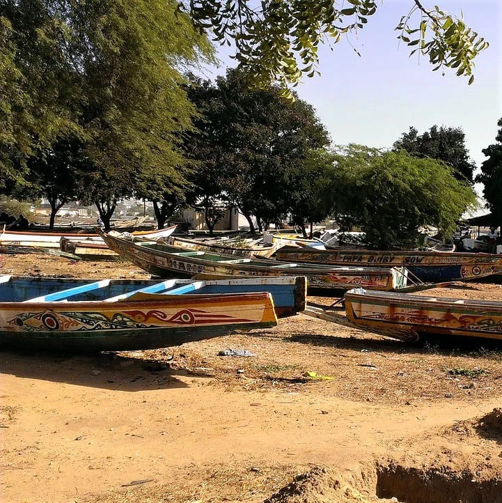 Traductions Juridiques Wolof de PoliLingua