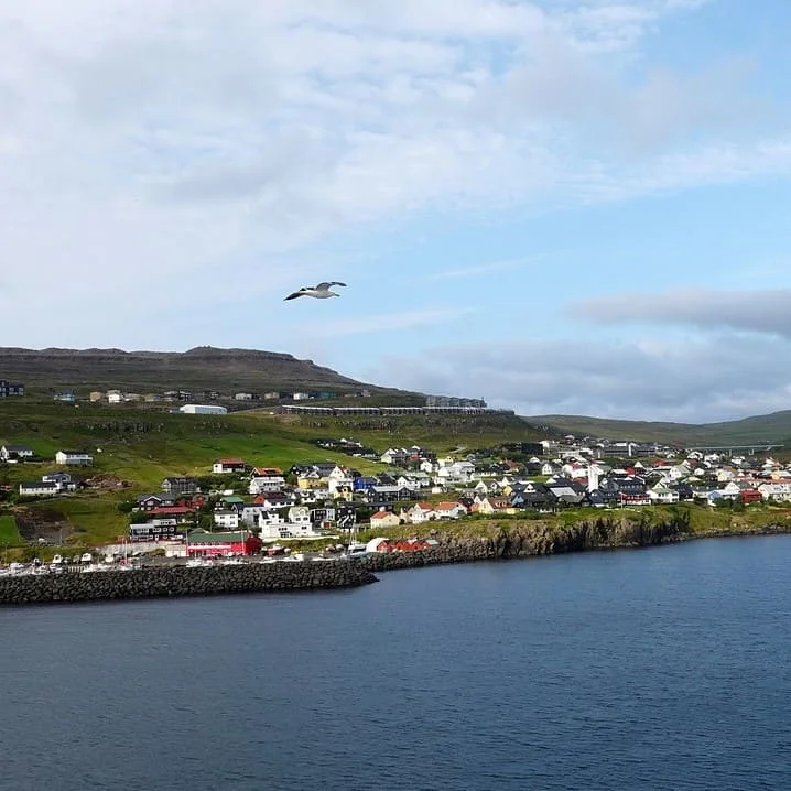 Traductions Faroese par Secteur d'activité