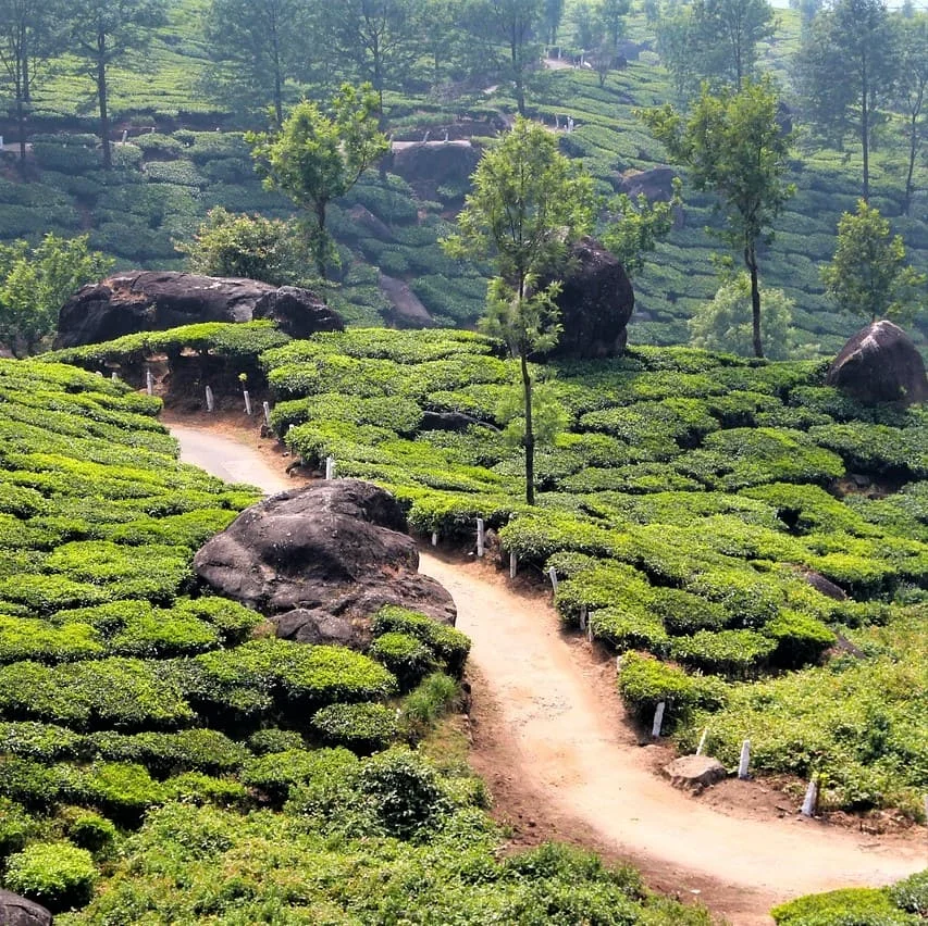 Traductions en Langue Kannada de PoliLingua