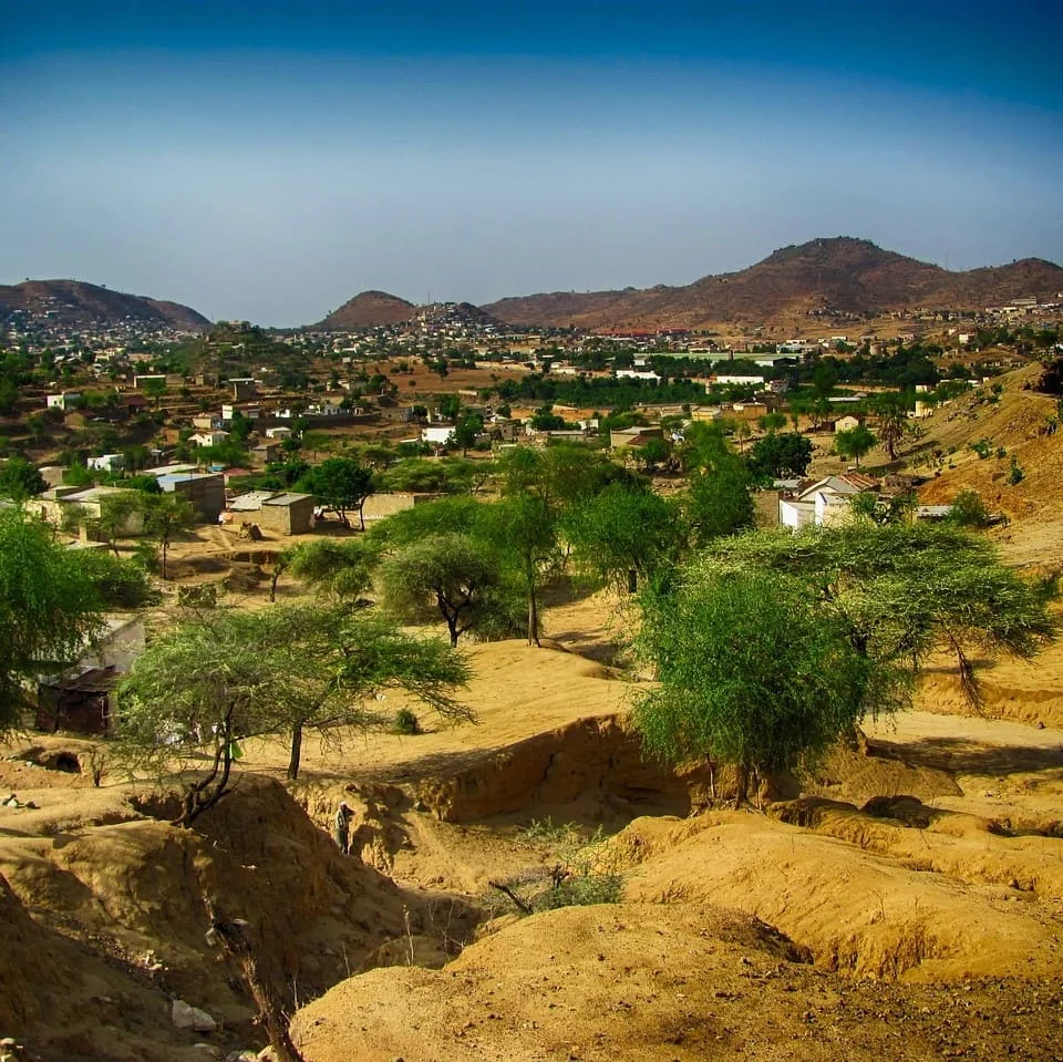Les Services de Traduction Somali de PoliLingua