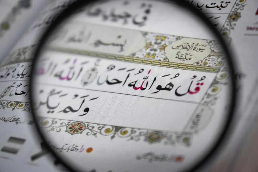 Les Soixante-Dix Voix Et La Vérité De La Langue Du Pakistan