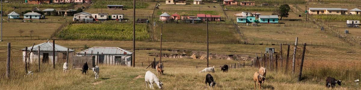 Servizi di traduzione in Xhosa